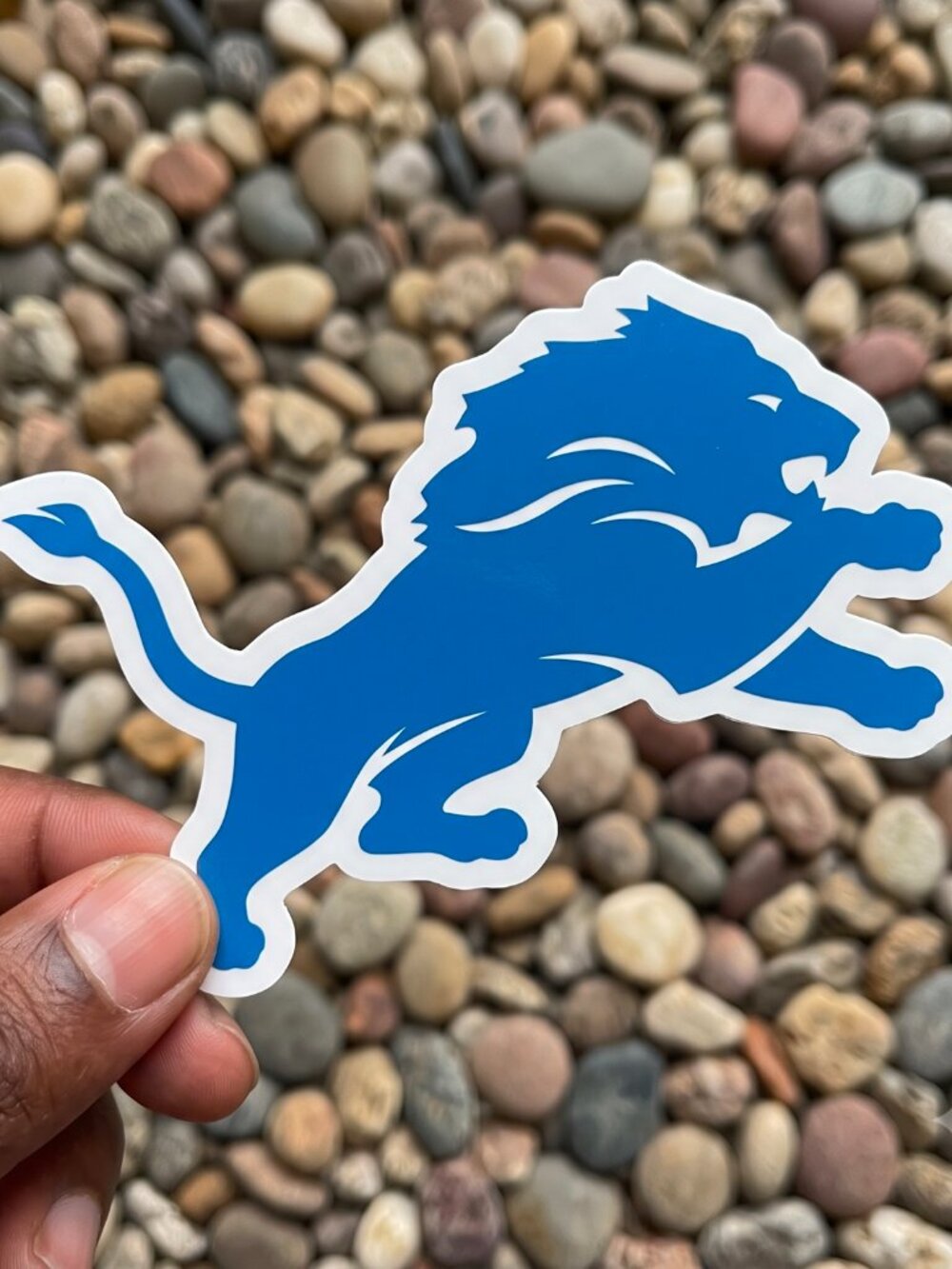 Detroit Lion Sticker - Picture 1 of 3